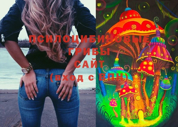 mix Няндома