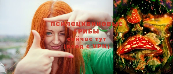 mix Няндома