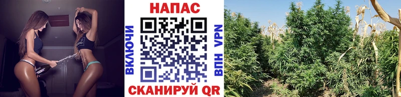 Бошки марихуана Ganja  Купить  Кудымкар 